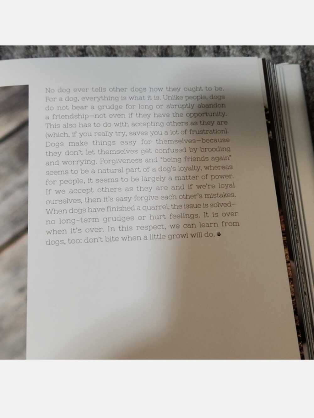 For The Love Of Dogs Book by Katharina von der Leyen - Picture 13 of 17